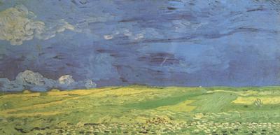 Vincent Van Gogh Wheat Field under Clouded Sky (nn04) oil painting picture